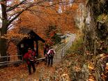 Wycieczka Szkolna w Tatry i Pieniny